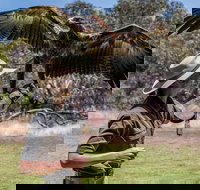 One Day Kangaroo Island Sip  See tour with return ferry transfers from Adelaide - Darwin Tourism