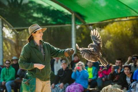 Full Day Kangaroo Island Sip And See Tour Departing From Kangaroo Island - Darwin Tourism 1