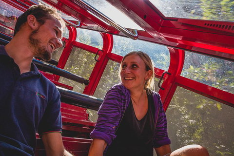 Blue Mountains Hop-on Hop-off Tour With Optional Scenic World Rides - Darwin Tourism 5