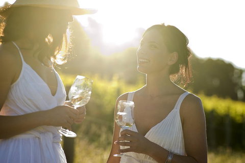 Hunter Valley Wine Tour From Sydney With Lunch And 3 Cellar Door Tastings - Darwin Tourism 4