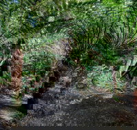 Adelaide to Melbourne 3-Day Trip through Grampians and Great Ocean Road - Darwin Tourism