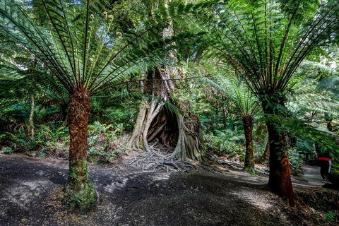 Adelaide To Melbourne 3-Day Trip Through Grampians And Great Ocean Road - Darwin Tourism 0