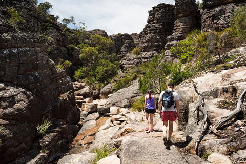 Grampians National Park With Kangaroos And MacKenzie Falls From Melbourne - Darwin Tourism 3