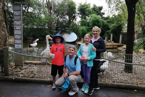 Blue Mountains Private Tour With Kangaroos & Koala Encounter - Darwin Tourism 4