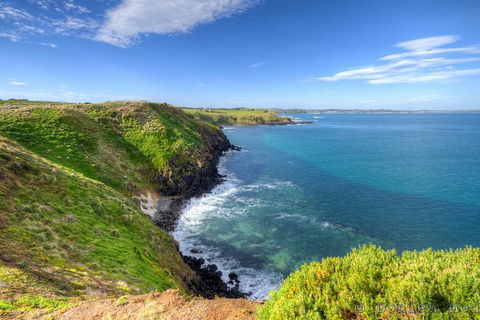 Phillip Island Penguin And Koala Highlights Day-Trip From Melbourne - Darwin Tourism 5