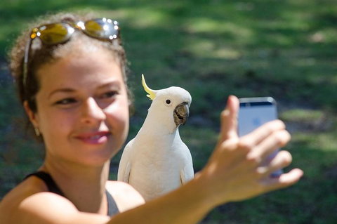 Melbourne To Adelaide South East Coast 3 Day Overland Tour - Darwin Tourism 3