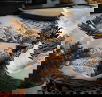 Eumundi Markets and Sunshine Coast Day Trip from Brisbane - Darwin Tourism