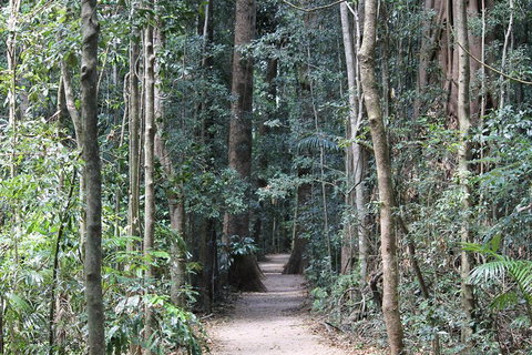 Eumundi Markets And Sunshine Coast Day Trip From Brisbane - Darwin Tourism 4