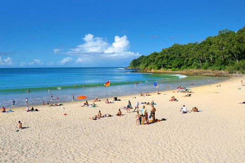 Noosa Everglades Serenity Cruise & Highlights Tour Inc. Lunch & Cruise - Darwin Tourism 4