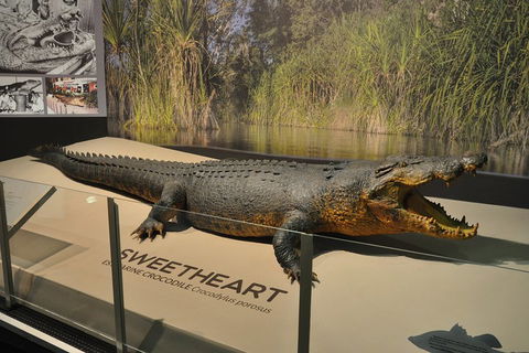 Explore Darwin City Sights Including Key Attractions - Darwin Tourism 2