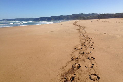 Private Great Ocean Road Full Day Tour - 1 Day Tour - Darwin Tourism 5