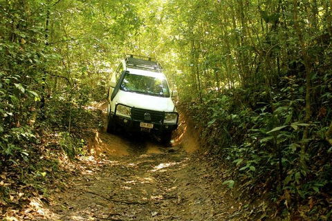 Barron Gorge And Kuranda National Park Half Day Rainforest And Waterfall 4WD Tour From Cairns - Darwin Tourism 2