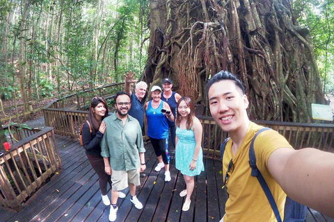 Barron Gorge And Kuranda National Park Half Day Rainforest And Waterfall 4WD Tour From Cairns - Darwin Tourism 5