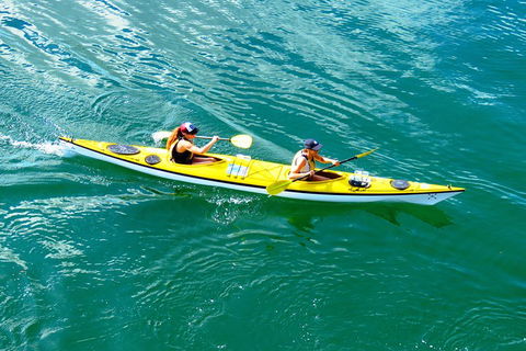 Self-Guided Sydney Middle Harbour Kayak 3 Hour Tour By Double Kayak - Darwin Tourism 1