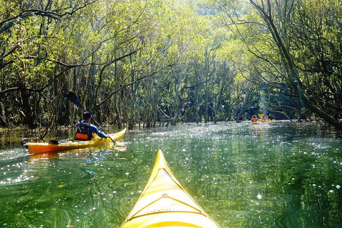 Self-Guided Sydney Middle Harbour Kayak 3 Hour Tour By Double Kayak - Darwin Tourism 3