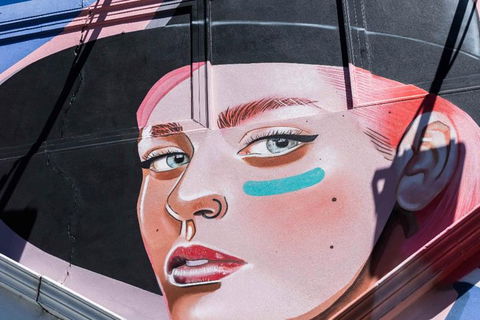 Adelaide 90-Minute Pedicab Tour: Street Art Experience - Darwin Tourism 1