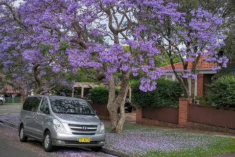 Sydney Secrets & Bondi Beach Private 4 Hr Morning With Personalised Sydney Tours - Darwin Tourism 0