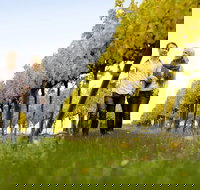 2-Day Private Daylesford  Macedon Ranges Gourmet Food Trail Tour from Melbourne - Darwin Tourism