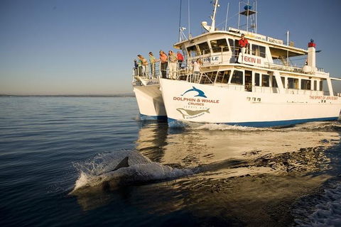 Jervis Bay Dolphin Watch Cruise - Darwin Tourism 3