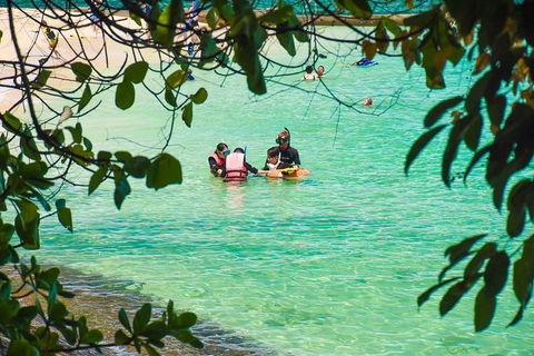 Green Island Day Trip From Cairns - Darwin Tourism 2