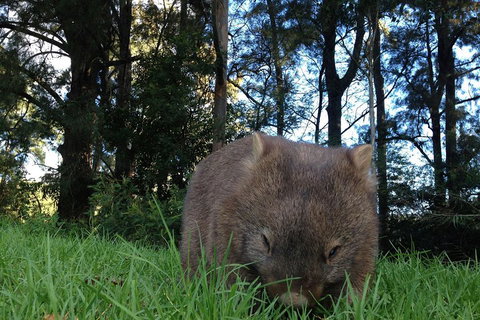 From The Mountains To The Bay - 4 Day Rediscovery Private Tour - Darwin Tourism 5