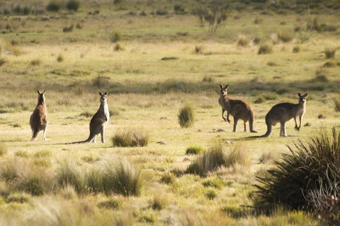From The Mountains To The Bay - 4 Day Rediscovery Small Group Tour - Darwin Tourism 4