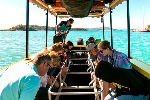 Airlie Beach Glass Bottom Boat Tour - Darwin Tourism 1