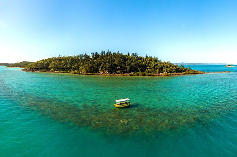 Airlie Beach Glass Bottom Boat Tour - Darwin Tourism 3