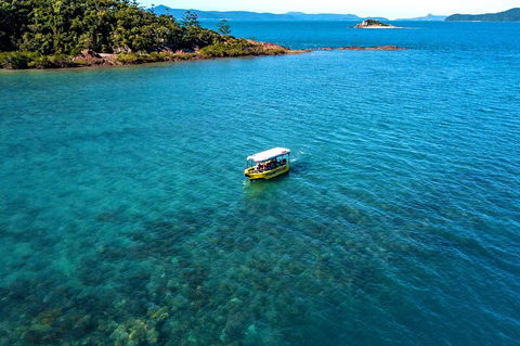 Airlie Beach Glass Bottom Boat Tour - Darwin Tourism 4