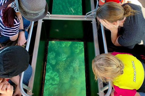 Airlie Beach Glass Bottom Boat Tour - Darwin Tourism 5