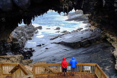 Full-Day Kangaroo Island Safari From Penneshaw - Darwin Tourism 1