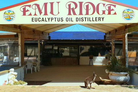 Full-Day Kangaroo Island Safari From Penneshaw - Darwin Tourism 2