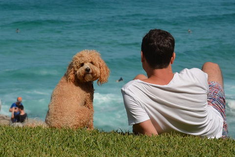 See Sydney With A Local: Private & Personalized - Darwin Tourism 5