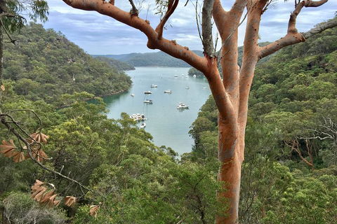 Shore Excursion: Sydney's Northern Beaches & Ku-ring-gai National Park Bus Tour - Darwin Tourism 1