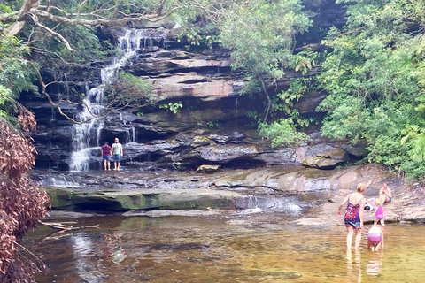 Central Coast Private Tour From Sydney, With Australian Reptile Park Option - Darwin Tourism 0