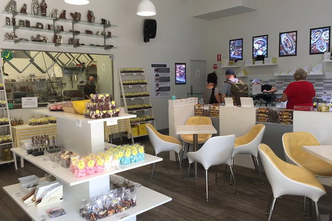 Central Coast Private Tour From Sydney, With Australian Reptile Park Option - Darwin Tourism 1