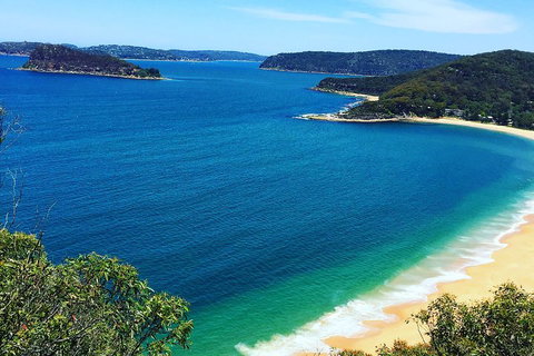 Central Coast Private Tour From Sydney, With Australian Reptile Park Option - Darwin Tourism 5