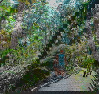 Full Day Cooktown Private Tour - Darwin Tourism