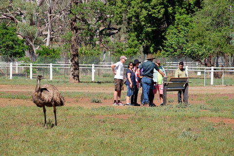 Yura Udnyu - Our Culture, Your Culture (Aboriginal Cultural Walk) - Darwin Tourism 1