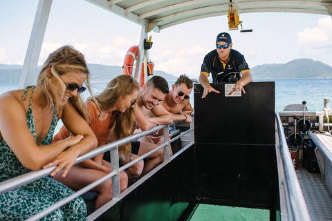 Fitzroy Island Day Trip From Cairns - Darwin Tourism 4