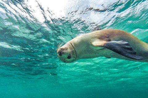 10-Day Adelaide To Perth Adventure Tour - Darwin Tourism 1