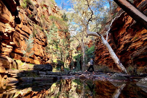 10-Day Adelaide To Perth Adventure Tour - Darwin Tourism 5