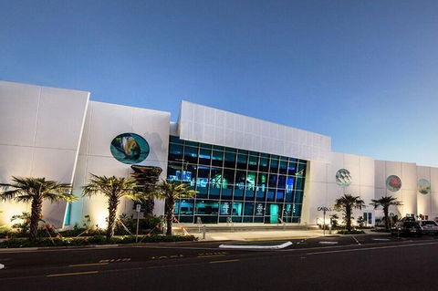 Cairns Aquarium Admission Ticket - Darwin Tourism 4