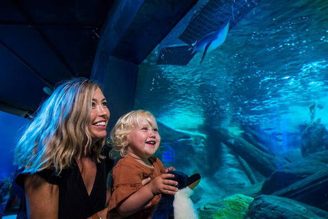 SEA LIFE Sunshine Coast Aquarium Entrance Ticket - Darwin Tourism 0