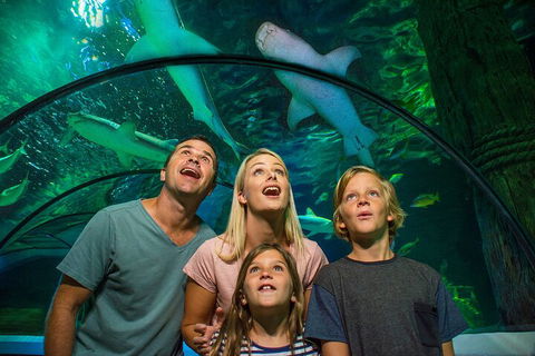 SEA LIFE Sunshine Coast Aquarium Entrance Ticket - Darwin Tourism 3