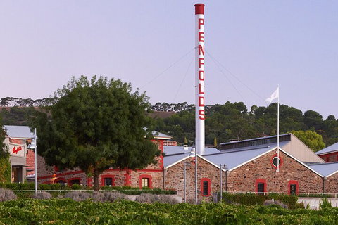 Ultimate Penfolds Magill Estate Experience - Darwin Tourism 3