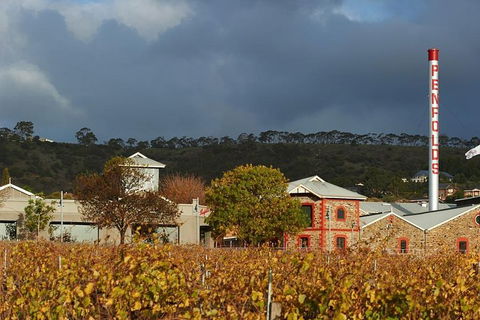 Penfolds Magill Estate Iconic Experience - Darwin Tourism 3