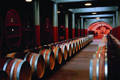 Penfolds Magill Estate Iconic Experience - Darwin Tourism 4