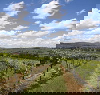 Hunter Valley Wine Tour from Sydney incl Lunch Cheese Chocolate and Distillery - Darwin Tourism