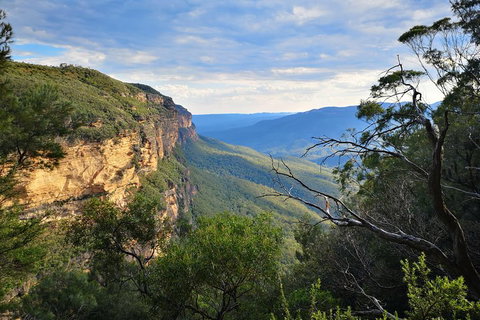 Sunset Blue Mountains Wilderness & Wildlife Tour Without The Crowds - Darwin Tourism 2
